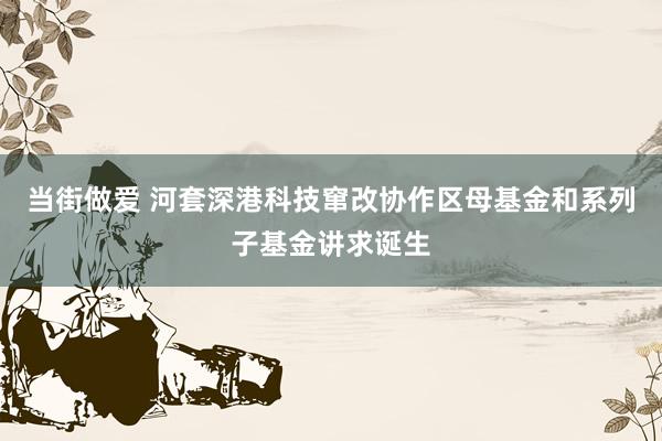 当街做爱 河套深港科技窜改协作区母基金和系列子基金讲求诞生