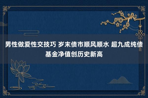 男性做爱性交技巧 岁末债市顺风顺水 超九成纯债基金净值创历史新高