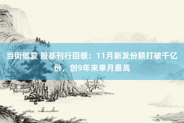 当街做爱 股基刊行回暖：11月新发份额打破千亿份，创9年来单月最高