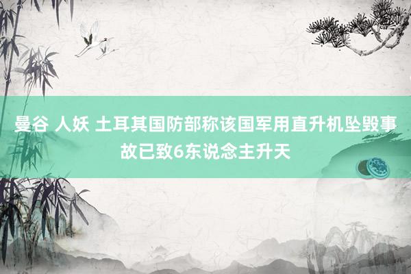 曼谷 人妖 土耳其国防部称该国军用直升机坠毁事故已致6东说念主升天