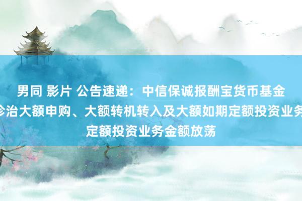 男同 影片 公告速递：中信保诚报酬宝货币基金A类份额诊治大额申购、大额转机转入及大额如期定额投资业务金额放荡