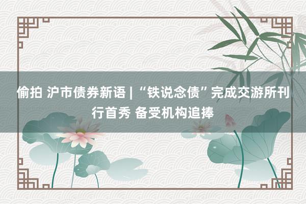 偷拍 沪市债券新语 | “铁说念债”完成交游所刊行首秀 备受机构追捧