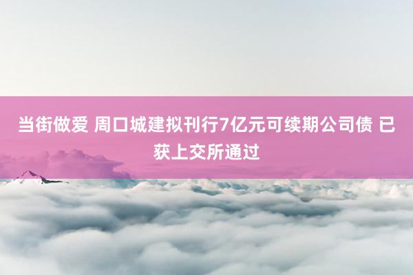 当街做爱 周口城建拟刊行7亿元可续期公司债 已获上交所通过