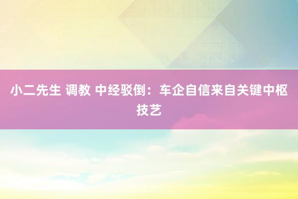 小二先生 调教 中经驳倒：车企自信来自关键中枢技艺