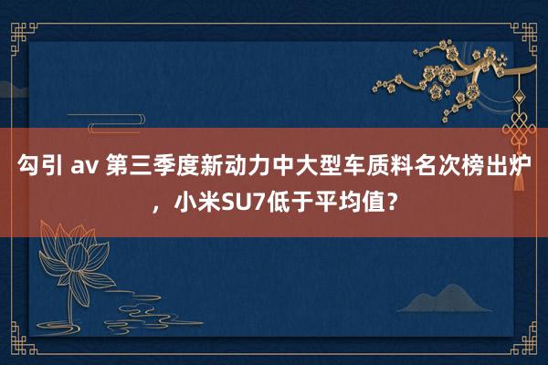 勾引 av 第三季度新动力中大型车质料名次榜出炉，小米SU7低于平均值？