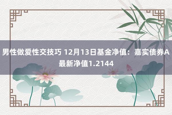 男性做爱性交技巧 12月13日基金净值：嘉实债券A最新净值1.2144