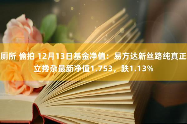 厕所 偷拍 12月13日基金净值：易方达新丝路纯真正立搀杂最新净值1.753，跌1.13%