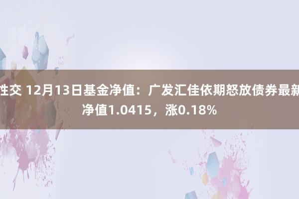 性交 12月13日基金净值：广发汇佳依期怒放债券最新净值1.0415，涨0.18%