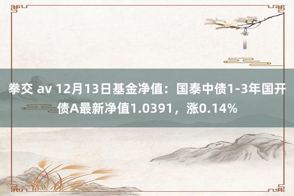 拳交 av 12月13日基金净值：国泰中债1-3年国开债A最新净值1.0391，涨0.14%