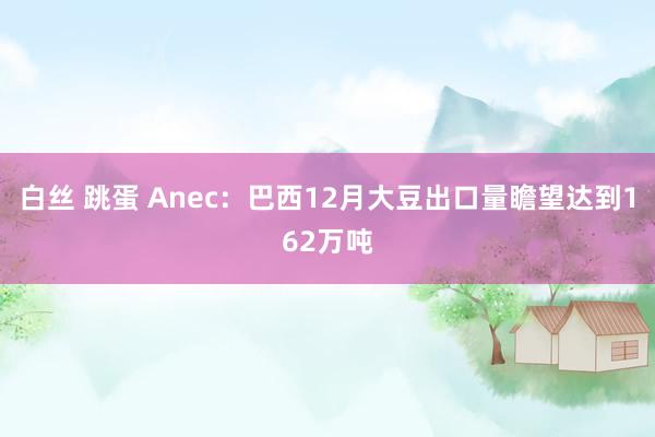 白丝 跳蛋 Anec：巴西12月大豆出口量瞻望达到162万吨