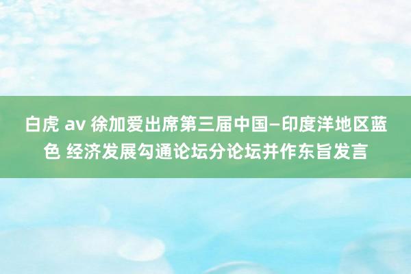 白虎 av 徐加爱出席第三届中国―印度洋地区蓝色 经济发展勾通论坛分论坛并作东旨发言