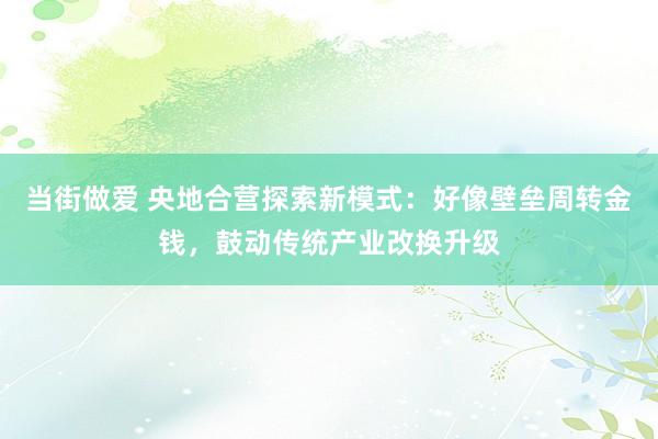 当街做爱 央地合营探索新模式：好像壁垒周转金钱，鼓动传统产业改换升级