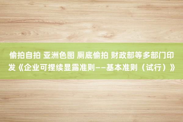 偷拍自拍 亚洲色图 厕底偷拍 财政部等多部门印发《企业可捏续显露准则——基本准则（试行）》