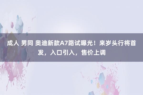 成人 男同 奥迪新款A7路试曝光！来岁头行将首发，入口引入，售价上调