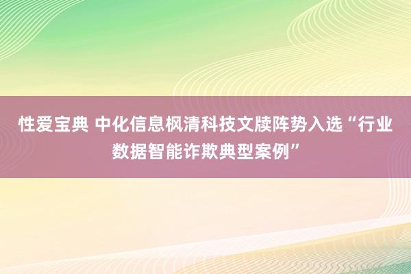 性爱宝典 中化信息枫清科技文牍阵势入选“行业数据智能诈欺典型案例”