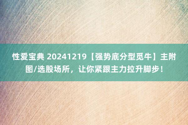 性爱宝典 20241219【强势底分型觅牛】主附图/选股场所，让你紧跟主力拉升脚步！