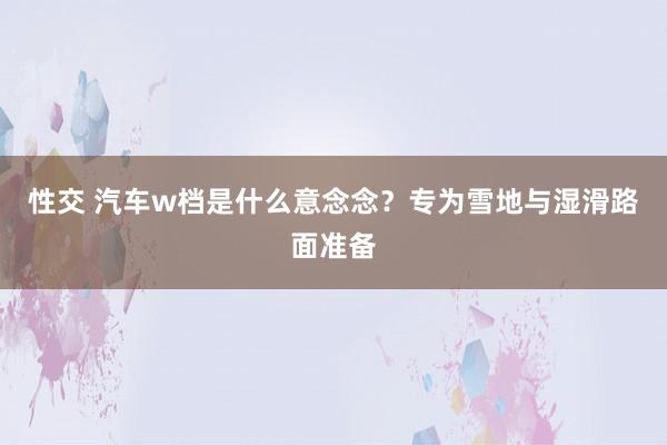 性交 汽车w档是什么意念念？专为雪地与湿滑路面准备