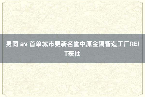 男同 av 首单城市更新名堂中原金隅智造工厂REIT获批