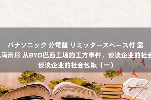 パナソニック 分電盤 リミッタースペース付 露出・半埋込両用形 从BYD巴西工场施工方事件，谈谈企业的社会包袱（一）