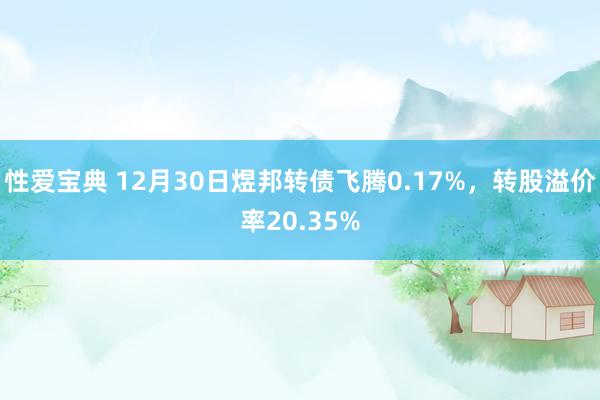 性爱宝典 12月30日煜邦转债飞腾0.17%，转股溢价率20.35%