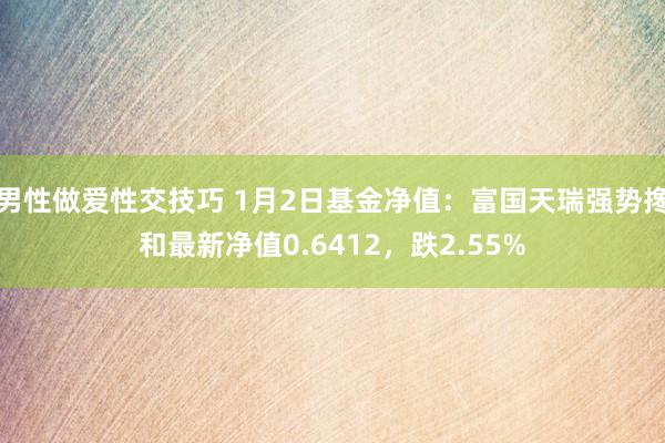 男性做爱性交技巧 1月2日基金净值：富国天瑞强势搀和最新净值0.6412，跌2.55%