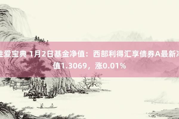 性爱宝典 1月2日基金净值：西部利得汇享债券A最新净值1.3069，涨0.01%