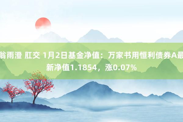 翁雨澄 肛交 1月2日基金净值：万家书用恒利债券A最新净值1.1854，涨0.07%