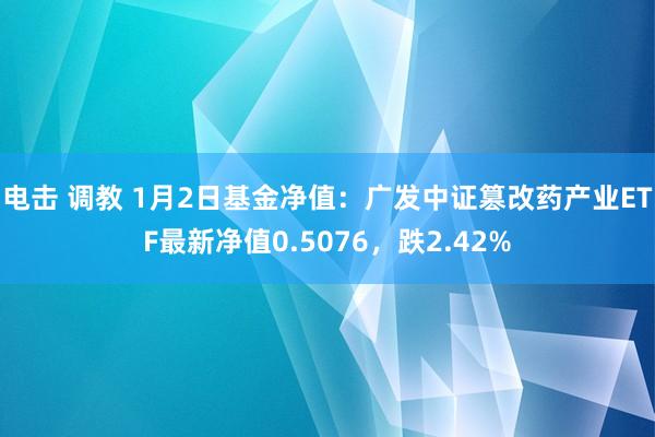 电击 调教 1月2日基金净值：广发中证篡改药产业ETF最新净值0.5076，跌2.42%