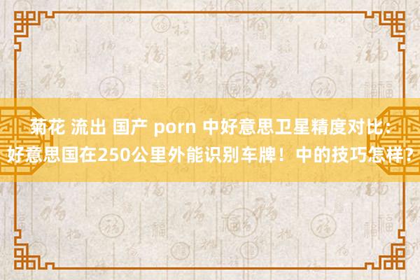 菊花 流出 国产 porn 中好意思卫星精度对比：好意思国在250公里外能识别车牌！中的技巧怎样？