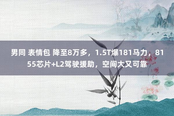 男同 表情包 降至8万多，1.5T爆181马力，8155芯片+L2驾驶援助，空间大又可靠