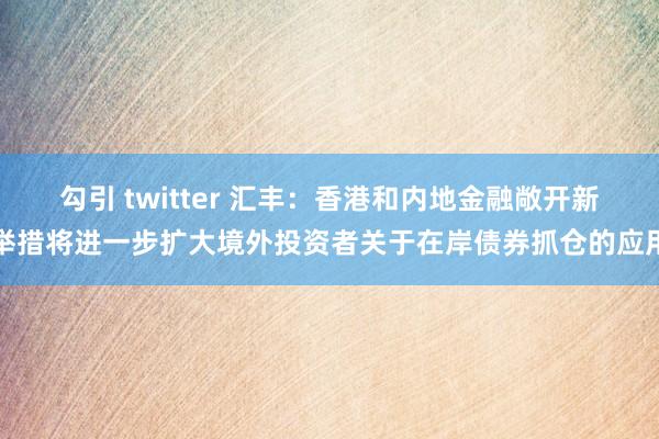 勾引 twitter 汇丰：香港和内地金融敞开新举措将进一步扩大境外投资者关于在岸债券抓仓的应用