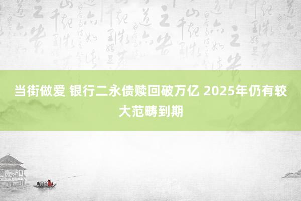 当街做爱 银行二永债赎回破万亿 2025年仍有较大范畴到期