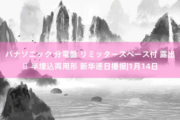 パナソニック 分電盤 リミッタースペース付 露出・半埋込両用形 新华逐日播报|1月14日