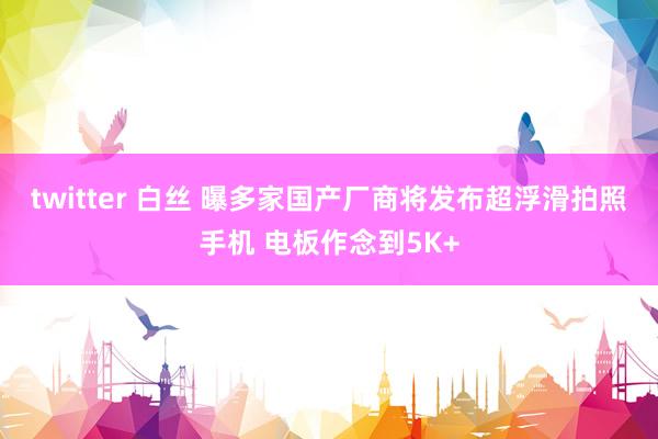 twitter 白丝 曝多家国产厂商将发布超浮滑拍照手机 电板作念到5K+