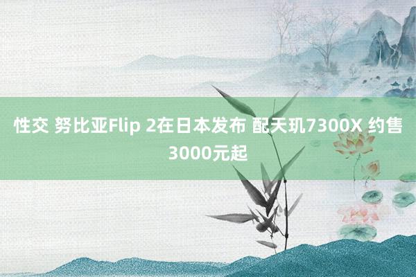 性交 努比亚Flip 2在日本发布 配天玑7300X 约售3000元起