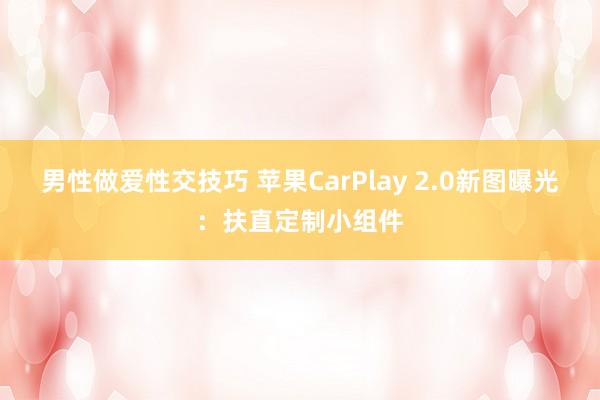 男性做爱性交技巧 苹果CarPlay 2.0新图曝光：扶直定制小组件