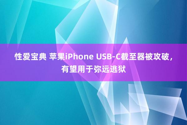 性爱宝典 苹果iPhone USB-C截至器被攻破，有望用于弥远逃狱